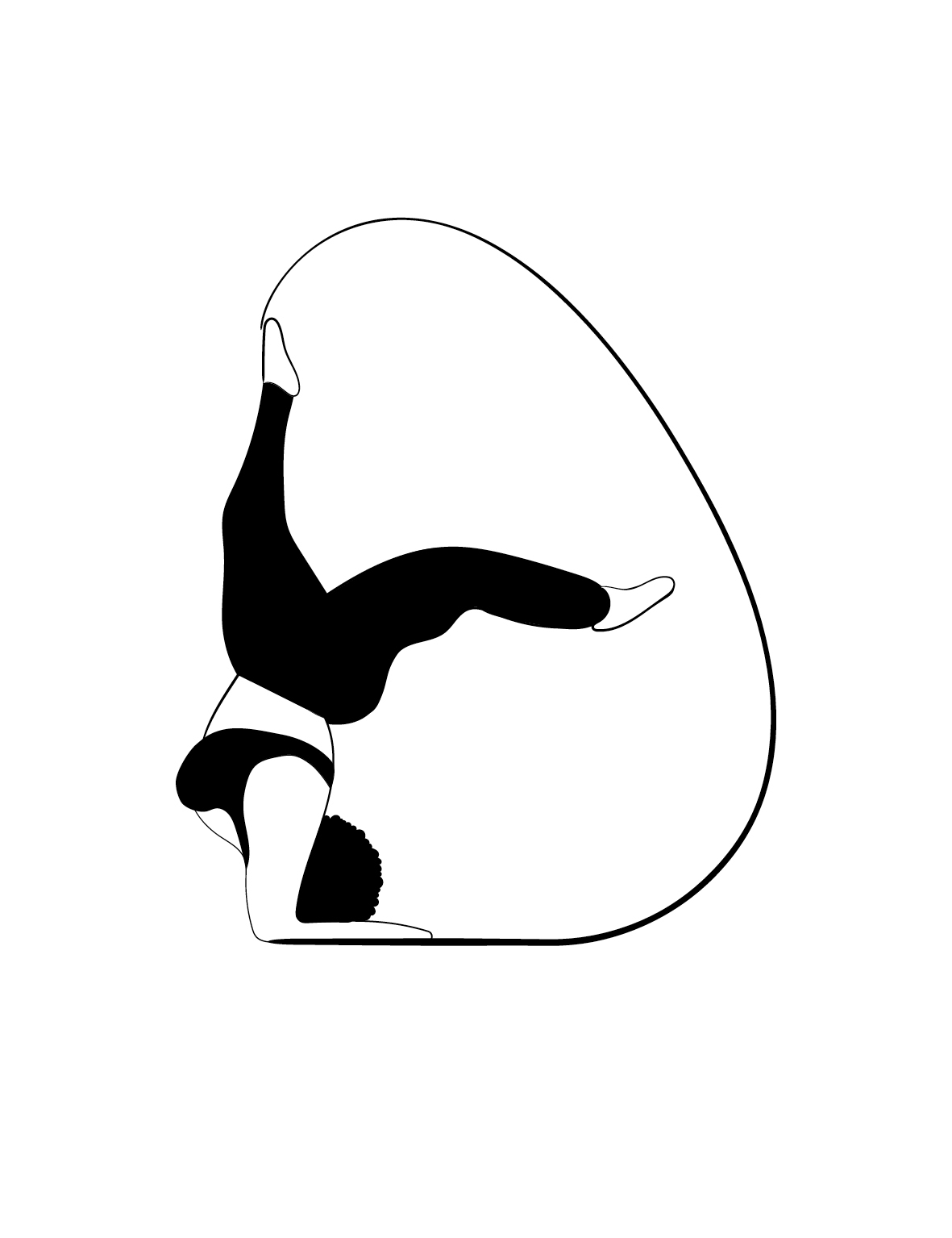 Vinyasa Flow Yoga